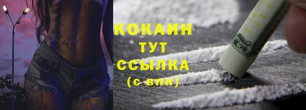СК Волоколамск
