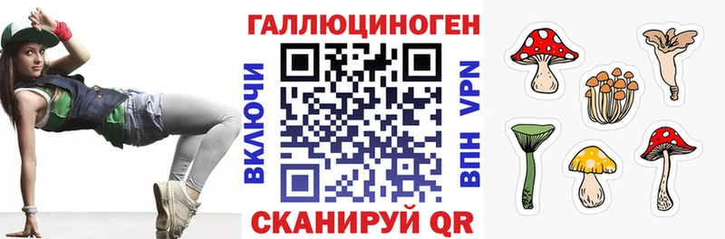 маркетплейс телеграм  Комсомольск-на-Амуре  Галлюциногенные грибы Psilocybe 